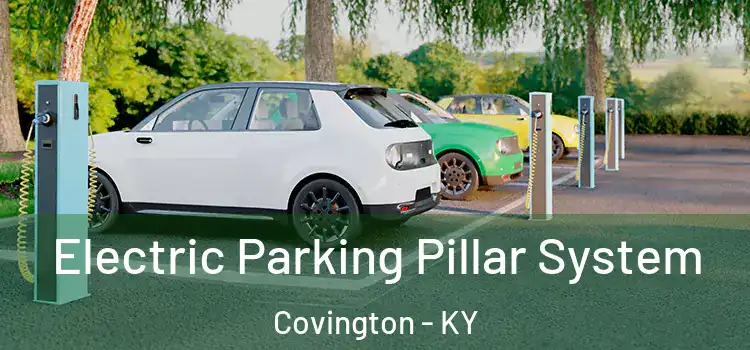 Electric Parking Pillar System Covington - KY