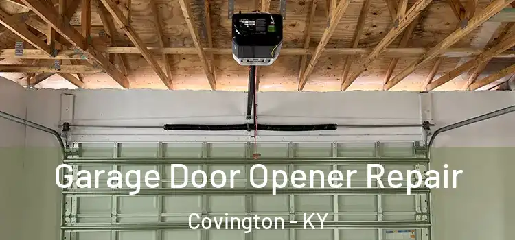  Garage Door Opener Repair Covington - KY