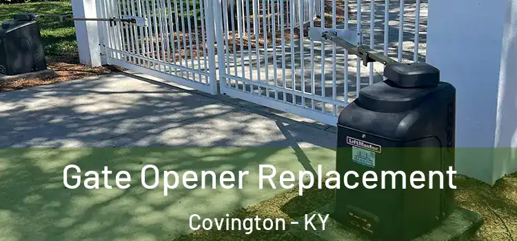 Gate Opener Replacement Covington - KY