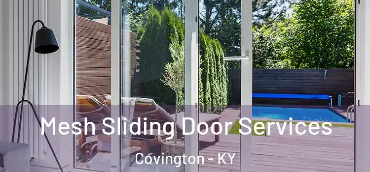  Mesh Sliding Door Services Covington - KY