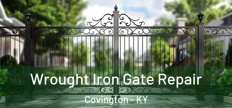 Wrought Iron Gate Repair Covington - KY